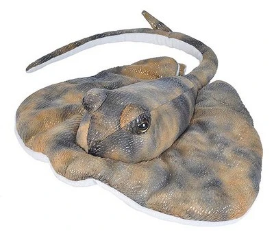 Wild Republic Cuddlekins Southern Ray Stuffed Animal, 12 Inches 3 Wild Republic Cuddlekins Southern Ray Stuffed Animal, 12 Inches