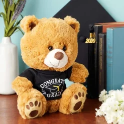 Blue Panda Class Of 2022 Graduation Bear, Stuffed Plush Animal Teddy Bear Gift With Congrats Grad T-shirt, Brown, 10 In