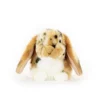 Living Nature Brown Dutch Lop Ear Plush Toy 2 Living Nature Brown Dutch Lop Ear Plush Toy -Stuffed Toys Store GUEST 363d8cdc 6b9e 4d99 b816 4c44236eac84