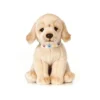Living Nature Giant Golden Lab Puppy Plush Toy -Stuffed Toys Store GUEST 425c1b70 4bf7 4f8b b39d a8affbca6fa7