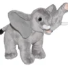 Wild Republic Wild Calls Elephant Stuffed Animal, 8 Inches 1 Wild Republic Wild Calls Elephant Stuffed Animal, 8 Inches -Stuffed Toys Store GUEST 5f8ef477 743d 4afb 9a60 e8eb9fef0c34
