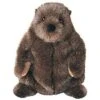 Douglas Chuckwood Groundhog Plush Stuffed Animal 1 Douglas Chuckwood Groundhog Plush Stuffed Animal -Stuffed Toys Store GUEST 72f9215e bba6 4566 8ff4 70990e3d4113