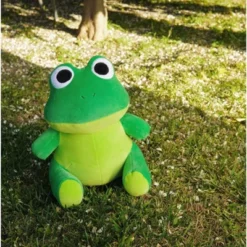 Avocatt Green Frog Plush -Stuffed Toys Store GUEST 78cd4e00 54d4 4e11 b0f3 e7ae0c790733