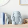 Plush Bunny Stuffed Animal - Cloud Island™ Gray