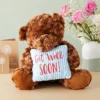 Get Well Soon Bear Plush Pillow, Get Well Soon Bear For Kids, Adults (Dark Brown, 14 In) -Stuffed Toys Store GUEST 9737529c cf66 41f0 906e b953ab20713b