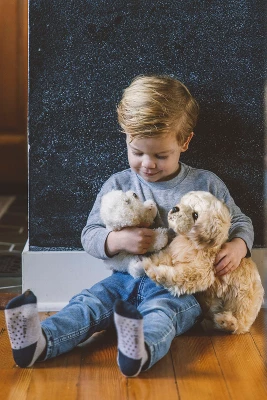 Bearington Lil' Bisquit Plush Labradoodle Stuffed Animal Puppy Dog, 6.5 Inch 3 Bearington Lil' Bisquit Plush Labradoodle Stuffed Animal Puppy Dog, 6.5 Inch