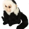 Wild Republic Cuddlekins Mini Capuchin Stuffed Animal, 8 Inches 1 Wild Republic Cuddlekins Mini Capuchin Stuffed Animal, 8 Inches -Stuffed Toys Store GUEST e05a33e0 0f16 4ee3 86d6 c8adc62ef63b