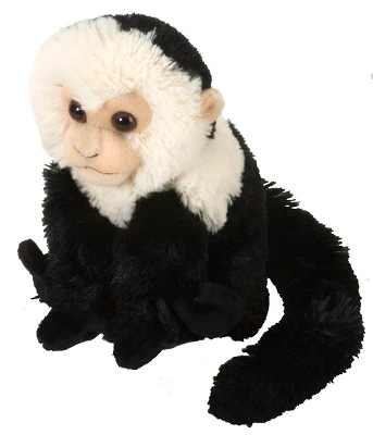 Wild Republic Cuddlekins Mini Capuchin Stuffed Animal, 8 Inches 3 Wild Republic Cuddlekins Mini Capuchin Stuffed Animal, 8 Inches